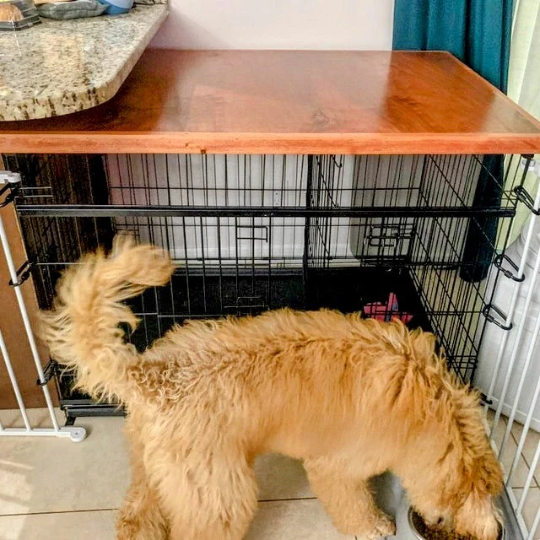 Dog Crate Topper