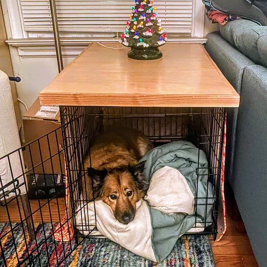 Dog Crate Topper