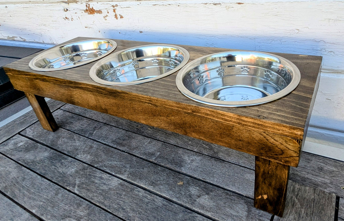 Benefits For An Elevated Dog Feeder