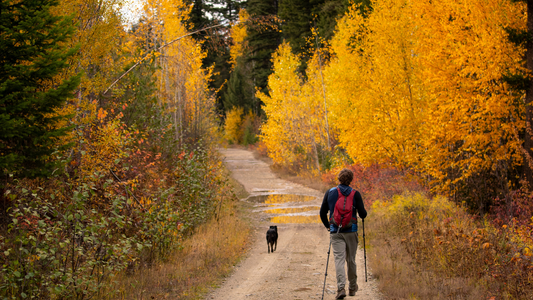 Enjoying fall with your dog is a wonderful way to make the most of the season’s cool weather, vibrant colors, and cozy vibes! Here are some ideas to help you and your pup get into the autumn spirit: