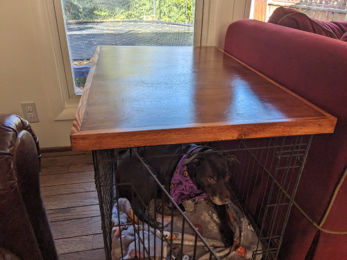 Dog Crate Topper