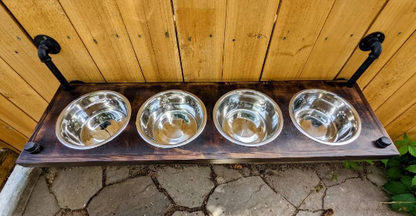 4 Bowl Elevated Dog Feeder