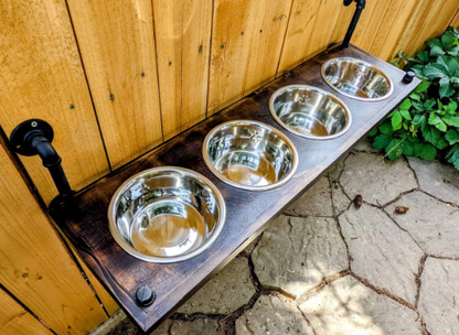 4 Bowl Elevated Dog Feeder