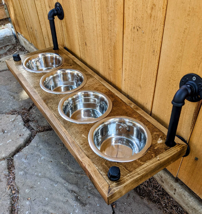 4 Bowl Elevated Dog Feeder