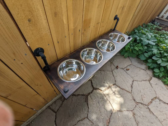 4 Bowl Elevated Dog Feeder