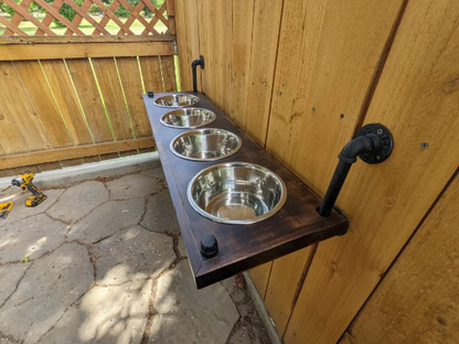 4 Bowl Elevated Dog Feeder