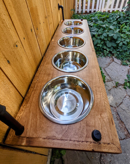 Elevated 5 Bowl Dog Feeder