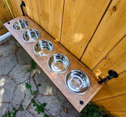 Elevated 5 Bowl Dog Feeder