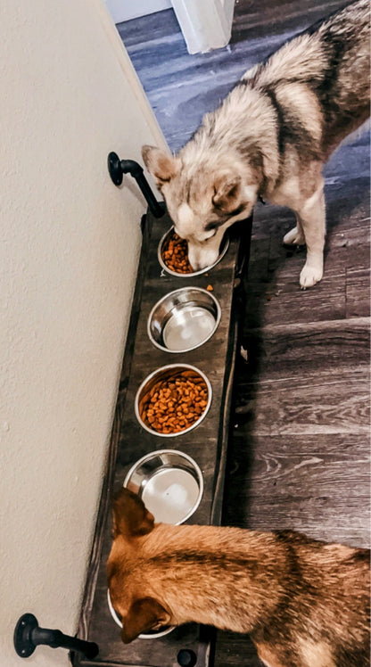 Elevated 5 Bowl Dog Feeder