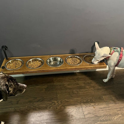 Elevated 5 Bowl Dog Feeder